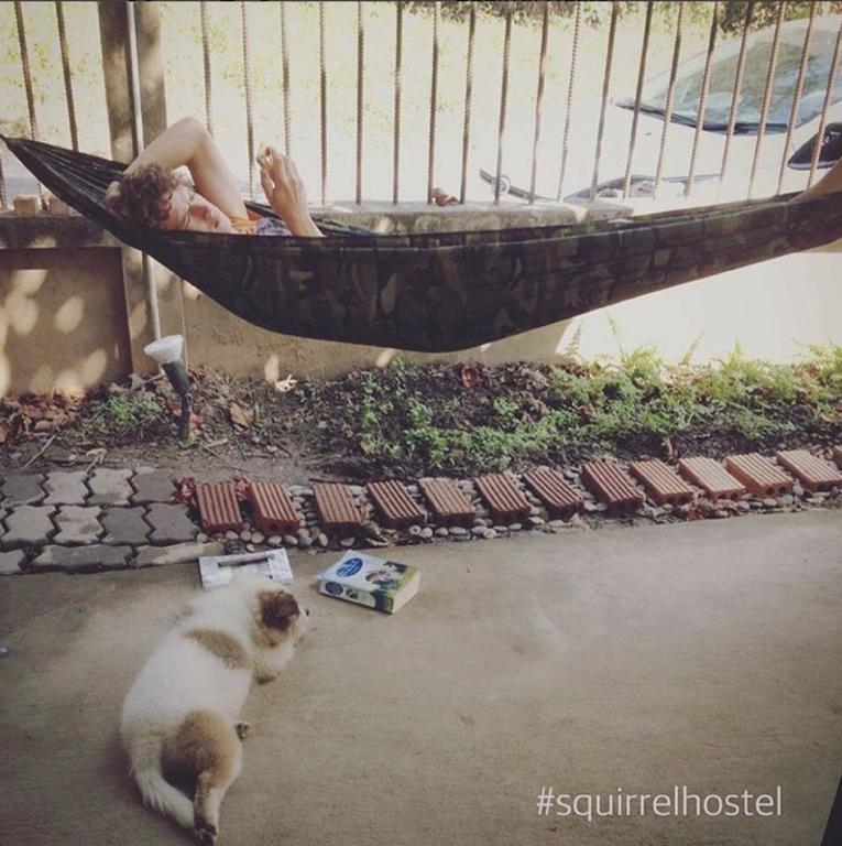 צ'יאנג מאי Squirrel Hostel מראה חיצוני תמונה